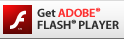 Flash