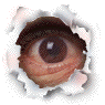 Eye am watching you!!!