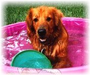 Cleo in her pool